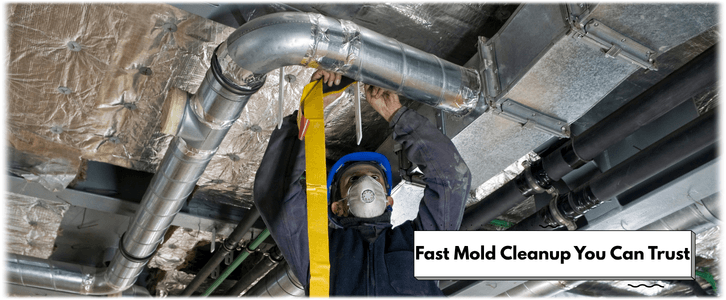 Air Duct Mold Removal in Toms River NJ