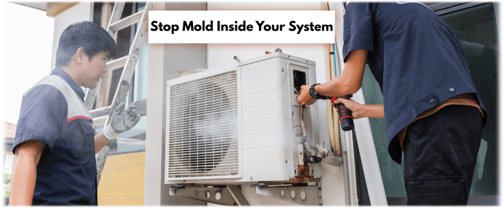 HVAC Mold Removal Toms River NJ
